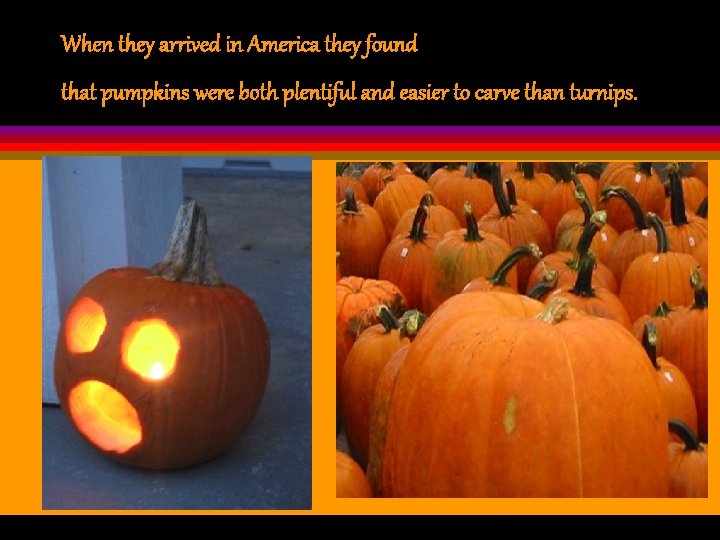 When they arrived in America they found that pumpkins were both plentiful and easier