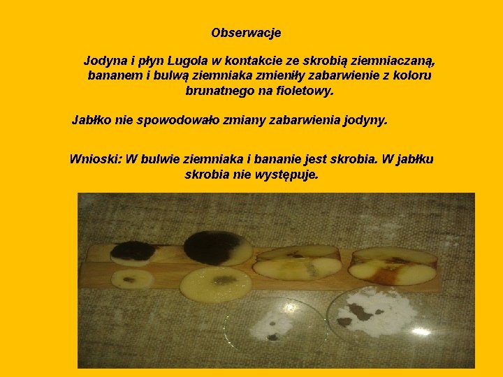 Obserwacje Jodyna i płyn Lugola w kontakcie ze skrobią ziemniaczaną, bananem i bulwą ziemniaka