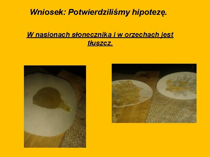 Wniosek: Potwierdziliśmy hipotezę. W nasionach słonecznika i w orzechach jest tłuszcz. 