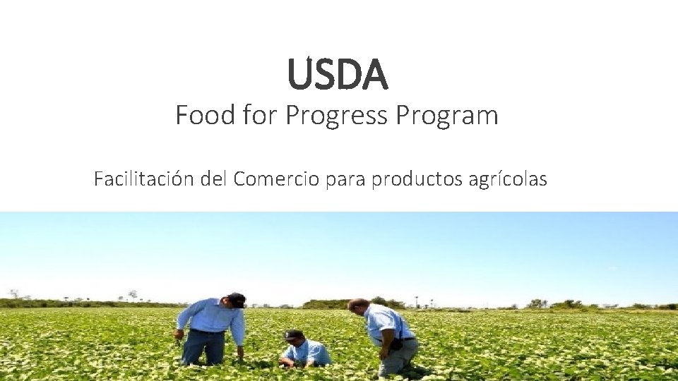 USDA Food for Progress Program Facilitación del Comercio para productos agrícolas 