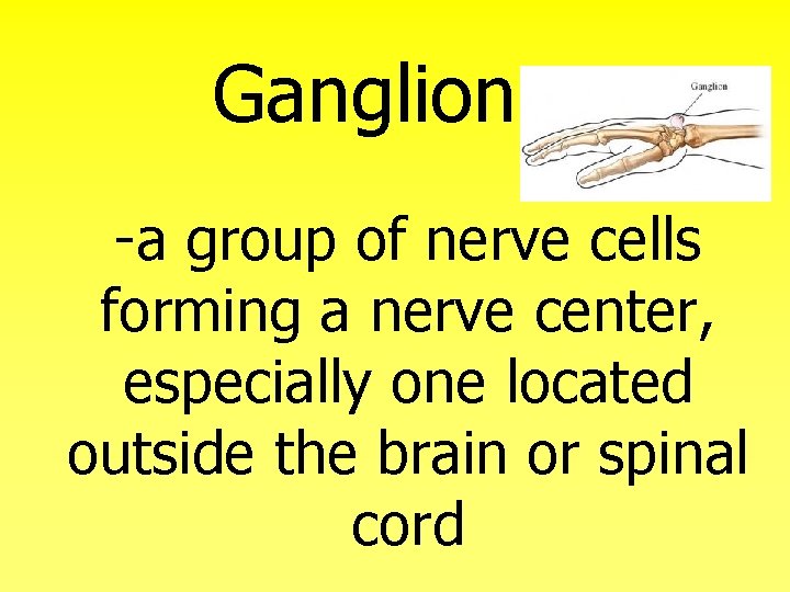 Ganglion -a group of nerve cells forming a nerve center, especially one located outside