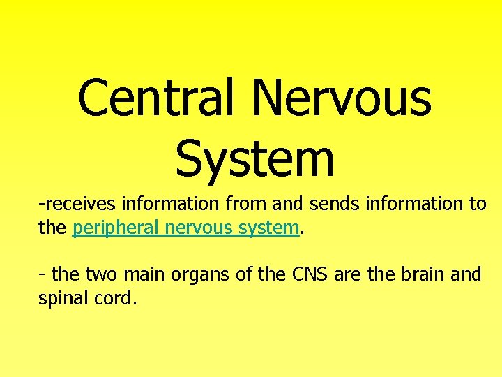 Central Nervous System -receives information from and sends information to the peripheral nervous system.