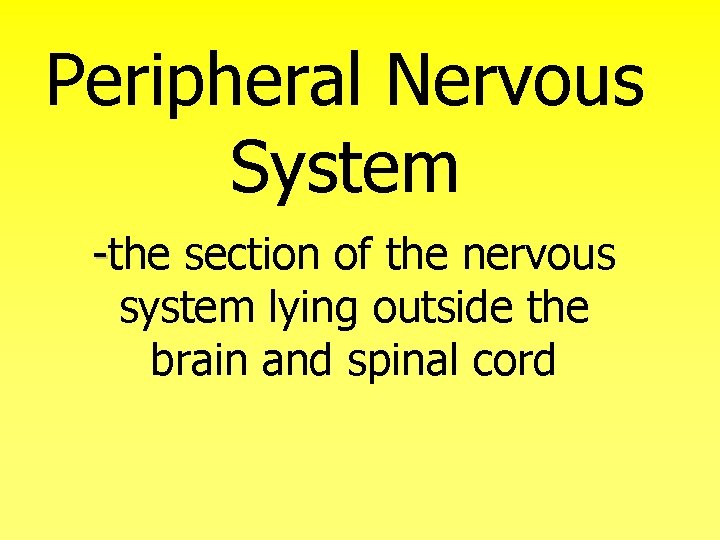 Peripheral Nervous System -the section of the nervous system lying outside the brain and