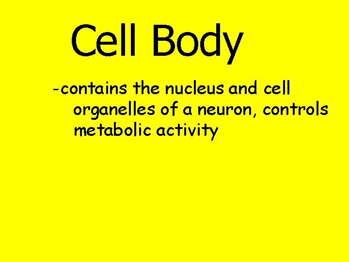 Cell Body -contains the nucleus and cell organelles of a neuron, controls metabolic activity