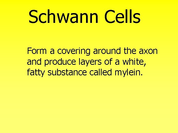 Schwann Cells Form a covering around the axon and produce layers of a white,