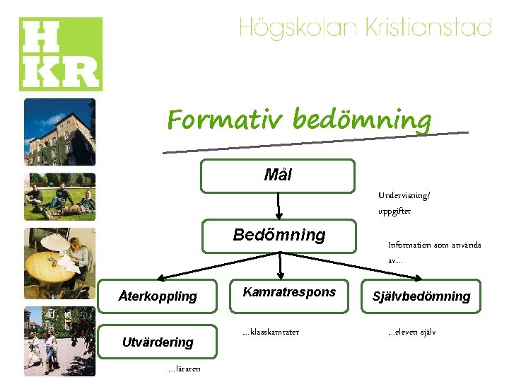 Formativ bedömning Mål Undervisning/ uppgifter Bedömning Återkoppling Utvärdering …läraren Kamratrespons …klasskamrater Information som används