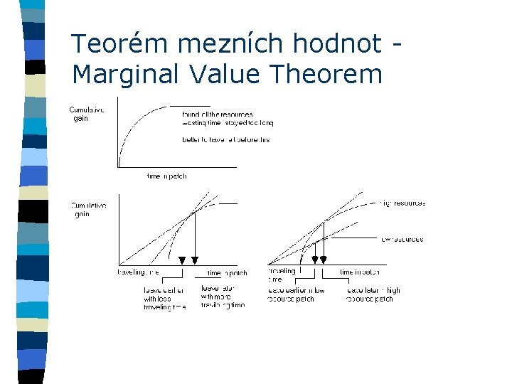 Teorém mezních hodnot - Marginal Value Theorem 