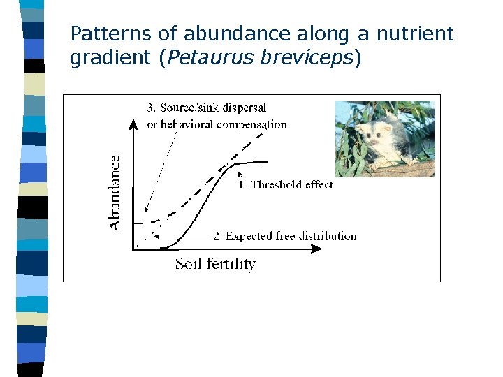 Patterns of abundance along a nutrient gradient (Petaurus breviceps) 