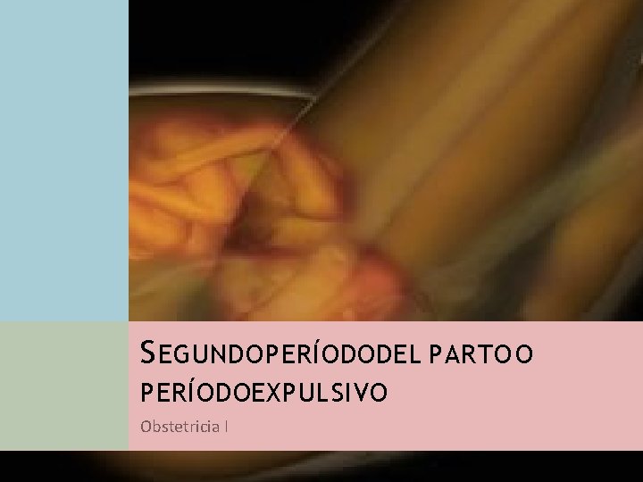 S EGUNDO PERÍODO DEL PARTO O PERÍODO EXPULSIVO Obstetricia I 