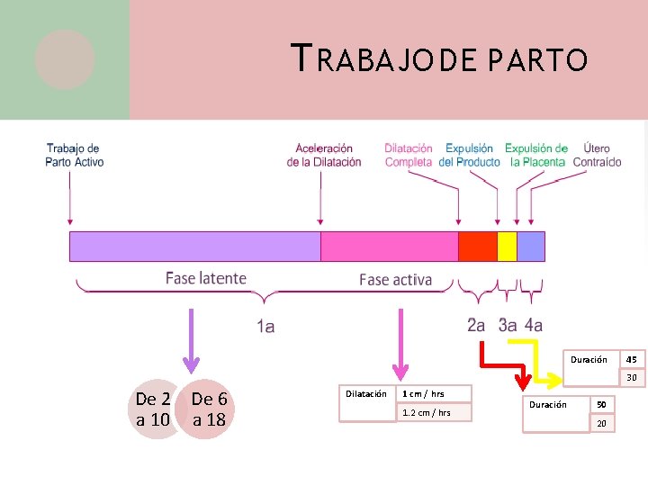 T RABAJO DE PARTO Duración 45 30 De 2 De 6 a 10 a