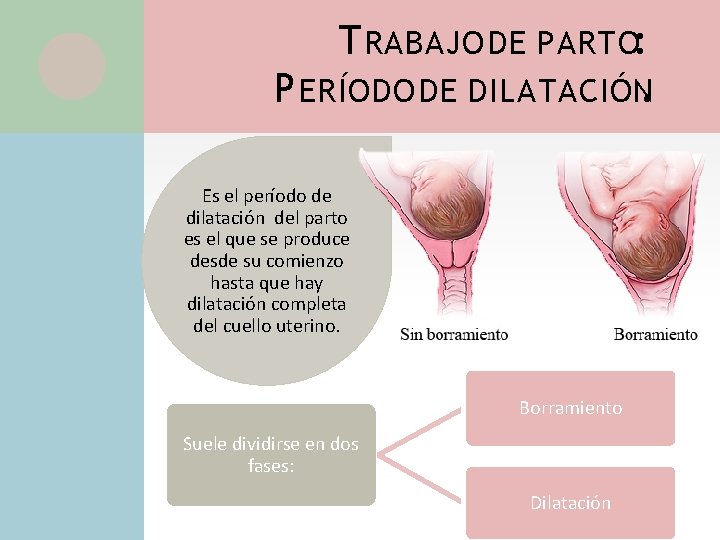 T RABAJO DE PARTO: P ERÍODO DE DILATACIÓN. Es el período de dilatación del