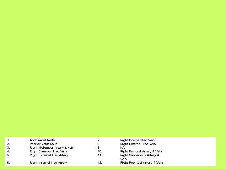 1. 2. 3. 4. 5. Abdominal Aorta Inferior Vena Cava Right Iliolumbar Artery &