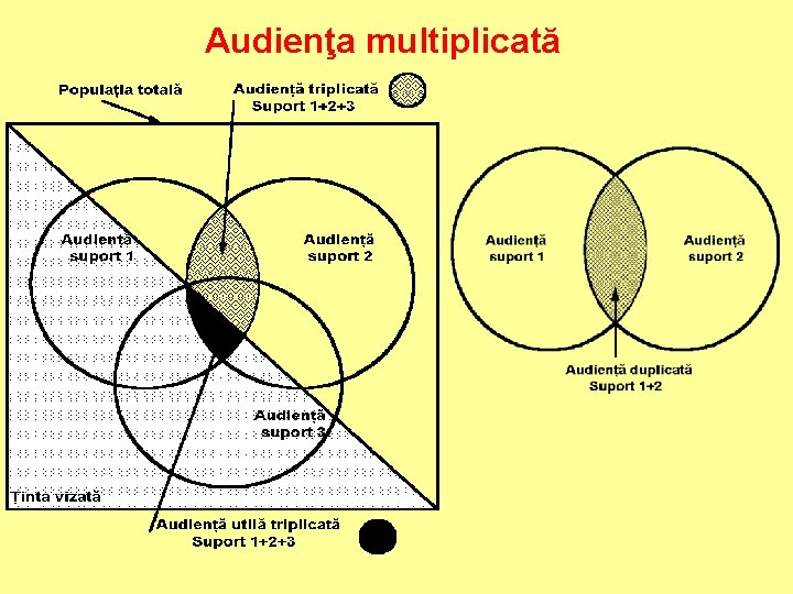 Audienţa multiplicată 