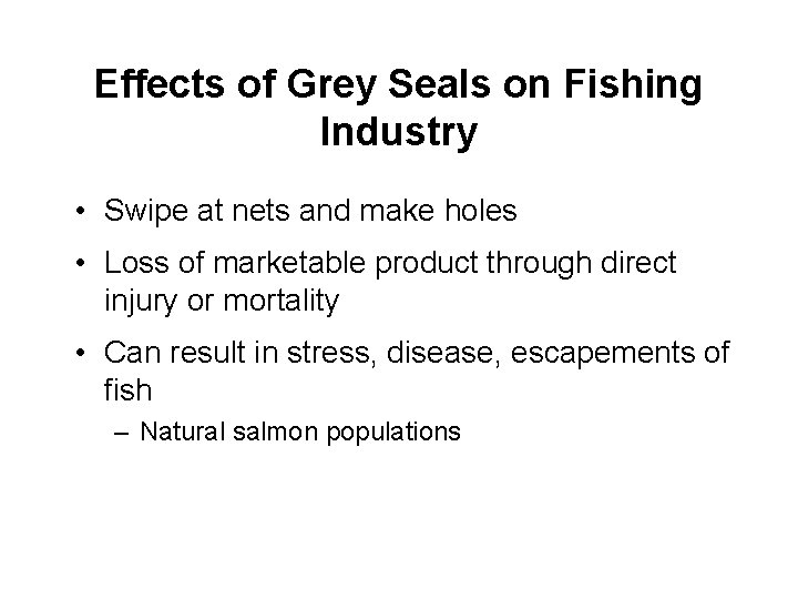 Effects of Grey Seals on Fishing Industry • Swipe at nets and make holes