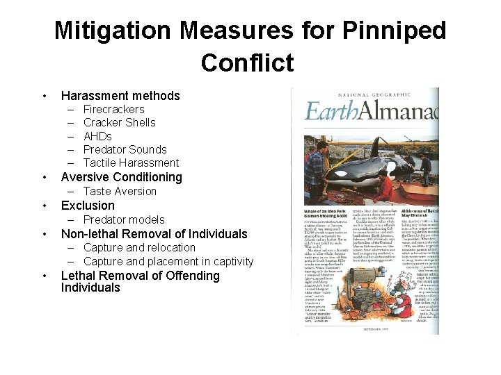 Mitigation Measures for Pinniped Conflict • Harassment methods – – – • Firecrackers Cracker