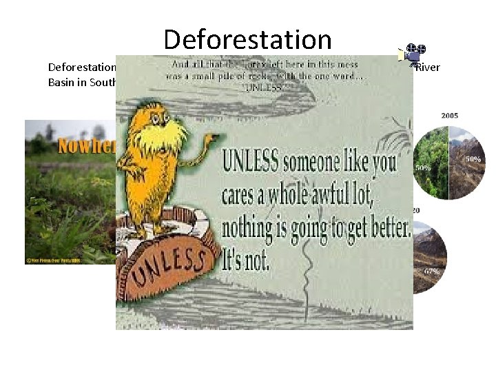 Deforestation is a serious issue around the world, especially the Amazon River Basin in