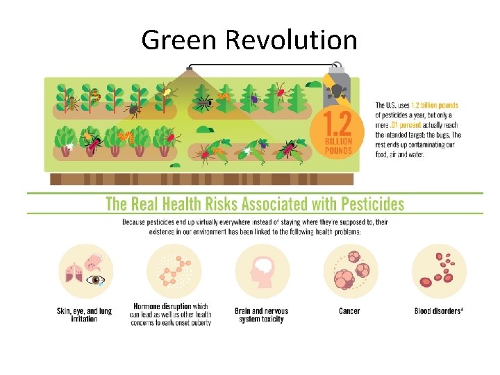 Green Revolution Science used to increase food production using fertilizers, pesticides and expensive irrigation