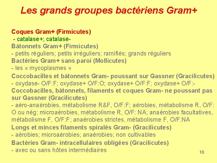 Les grands groupes bactériens Gram+ Coques Gram+ (Firmicutes) - catalase+; catalase. Bâtonnets Gram+ (Firmicutes)