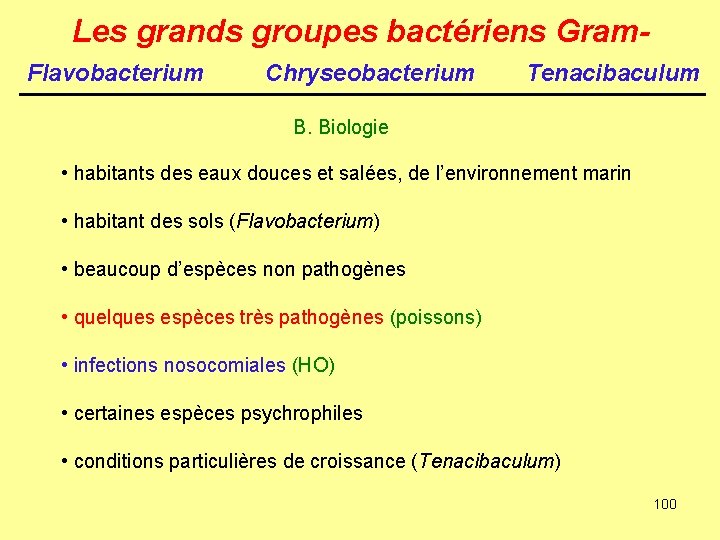 Les grands groupes bactériens Gram. Flavobacterium Chryseobacterium Tenacibaculum B. Biologie • habitants des eaux