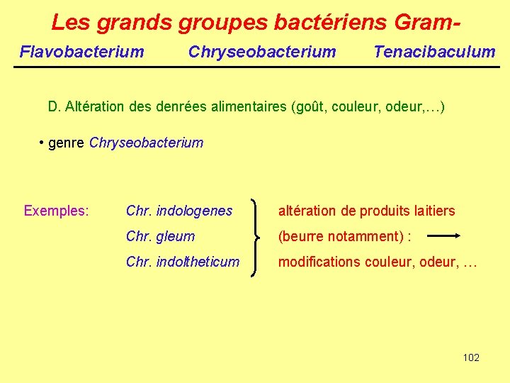 Les grands groupes bactériens Gram. Flavobacterium Chryseobacterium Tenacibaculum D. Altération des denrées alimentaires (goût,