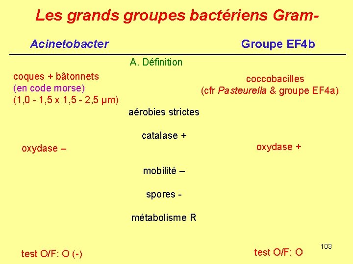 Les grands groupes bactériens Gram. Acinetobacter Groupe EF 4 b A. Définition coques +