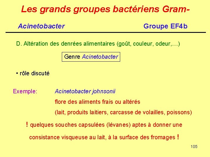 Les grands groupes bactériens Gram. Acinetobacter Groupe EF 4 b D. Altération des denrées