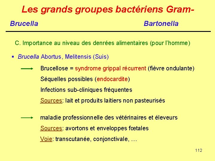 Les grands groupes bactériens Gram. Brucella Bartonella C. Importance au niveau des denrées alimentaires