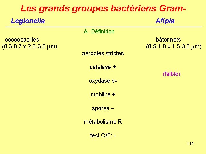 Les grands groupes bactériens Gram. Legionella Afipia A. Définition coccobacilles (0, 3 -0, 7