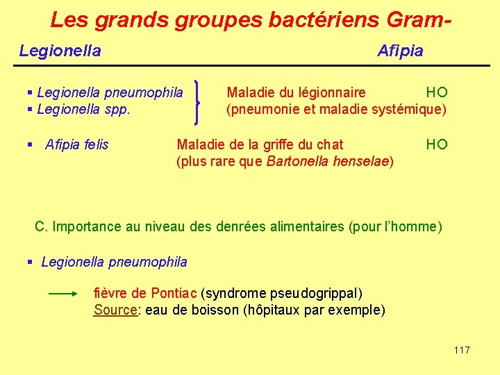 Les grands groupes bactériens Gram. Legionella Afipia § Legionella pneumophila § Legionella spp. §