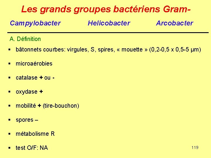 Les grands groupes bactériens Gram. Campylobacter Helicobacter Arcobacter A. Définition § bâtonnets courbes: virgules,