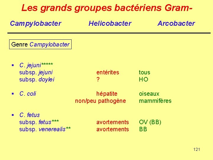 Les grands groupes bactériens Gram. Campylobacter Helicobacter Arcobacter Genre Campylobacter § C. jejuni***** subsp.