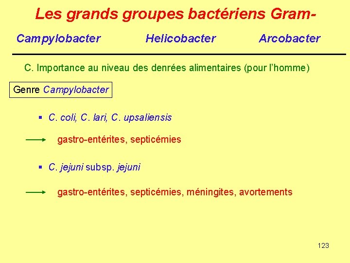 Les grands groupes bactériens Gram. Campylobacter Helicobacter Arcobacter C. Importance au niveau des denrées