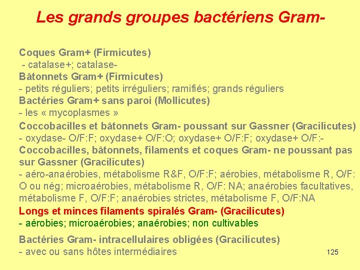 Les grands groupes bactériens Gram. Coques Gram+ (Firmicutes) - catalase+; catalase. Bâtonnets Gram+ (Firmicutes)