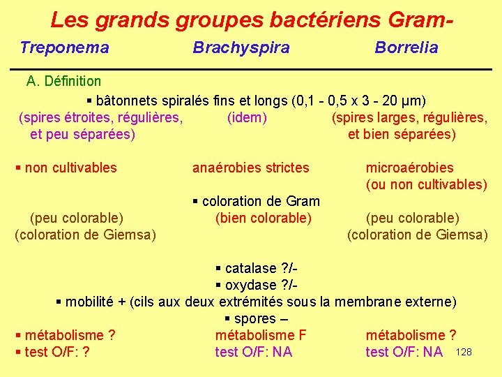 Les grands groupes bactériens Gram. Treponema Brachyspira Borrelia A. Définition § bâtonnets spiralés fins
