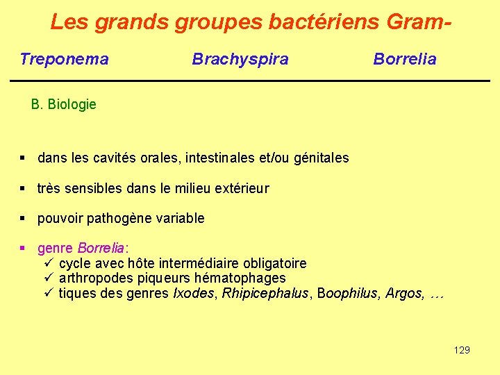 Les grands groupes bactériens Gram. Treponema Brachyspira Borrelia B. Biologie § dans les cavités