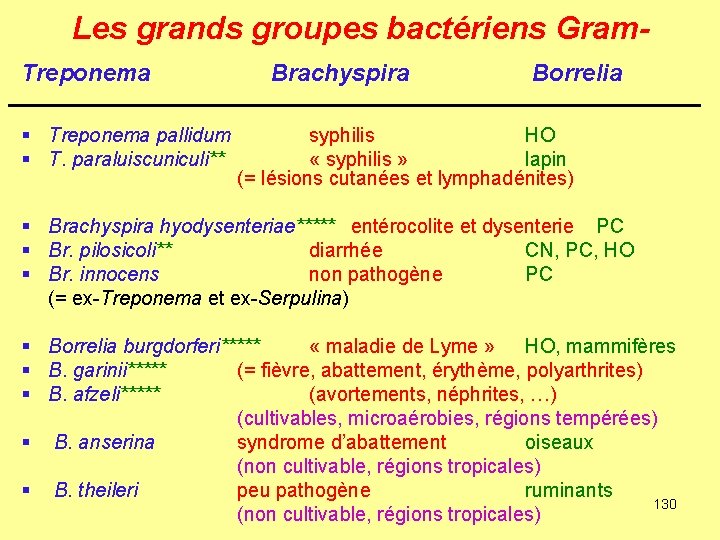 Les grands groupes bactériens Gram. Treponema § Treponema pallidum § T. paraluiscuniculi** Brachyspira Borrelia