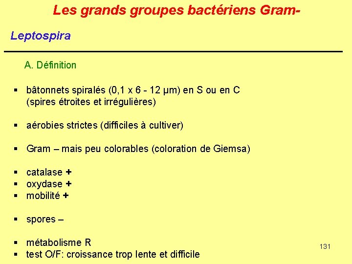 Les grands groupes bactériens Gram. Leptospira A. Définition § bâtonnets spiralés (0, 1 x