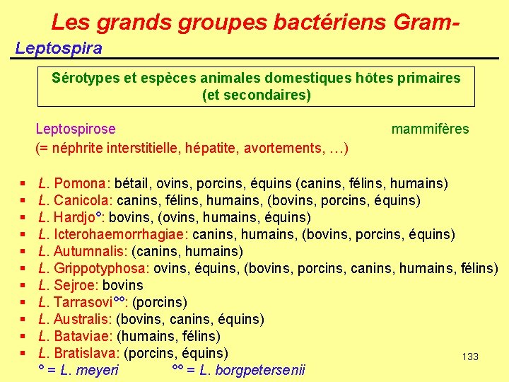 Les grands groupes bactériens Gram. Leptospira Sérotypes et espèces animales domestiques hôtes primaires (et