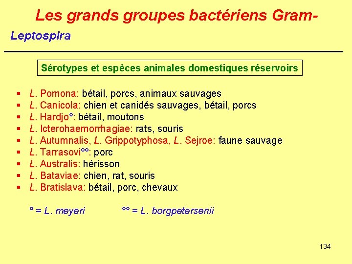 Les grands groupes bactériens Gram. Leptospira Sérotypes et espèces animales domestiques réservoirs § §