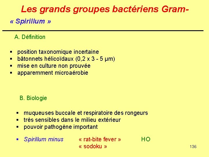 Les grands groupes bactériens Gram « Spirillum » A. Définition § § position taxonomique
