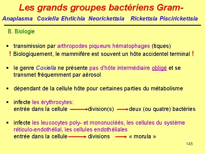 Les grands groupes bactériens Gram. Anaplasma Coxiella Ehrlichia Neorickettsia Rickettsia Piscirickettsia B. Biologie §