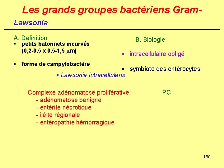 Les grands groupes bactériens Gram. Lawsonia A. Définition § § petits bâtonnets incurvés (0,