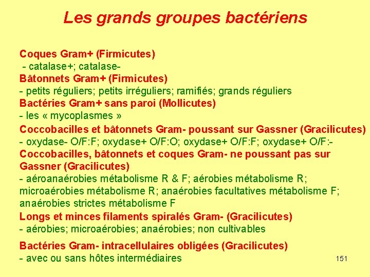 Les grands groupes bactériens Coques Gram+ (Firmicutes) - catalase+; catalase. Bâtonnets Gram+ (Firmicutes) -