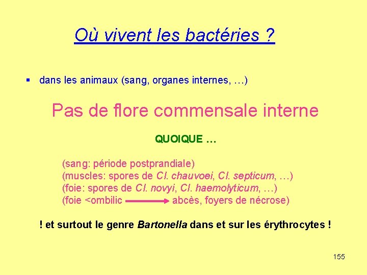 Où vivent les bactéries ? § dans les animaux (sang, organes internes, …) Pas