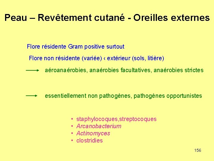 Peau – Revêtement cutané - Oreilles externes Flore résidente Gram positive surtout Flore non