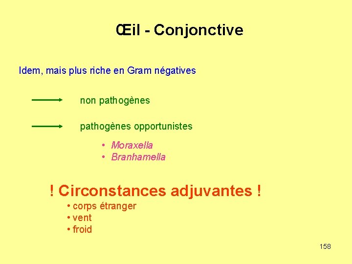 Œil - Conjonctive Idem, mais plus riche en Gram négatives non pathogènes opportunistes •