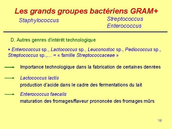 Les grands groupes bactériens GRAM+ Staphylococcus Streptococcus Enterococcus D. Autres genres d’intérêt technologique §