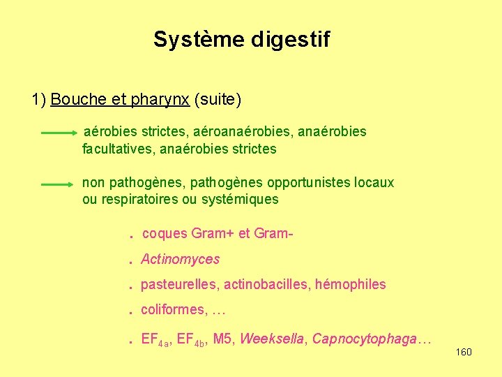 Système digestif 1) Bouche et pharynx (suite) aérobies strictes, aéroanaérobies, anaérobies facultatives, anaérobies strictes