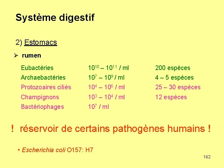 Système digestif 2) Estomacs Ø rumen Eubactéries 1010 – 1011 / ml 200 espèces