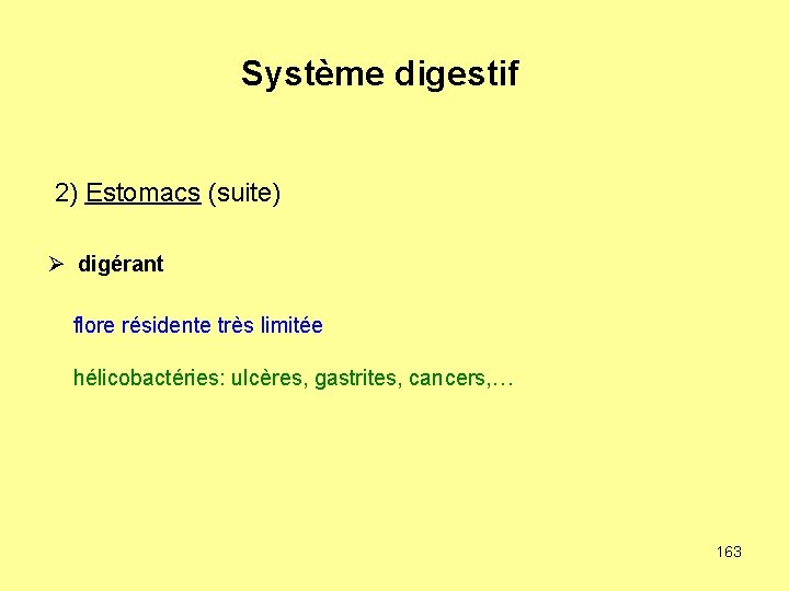 Système digestif 2) Estomacs (suite) Ø digérant flore résidente très limitée hélicobactéries: ulcères, gastrites,